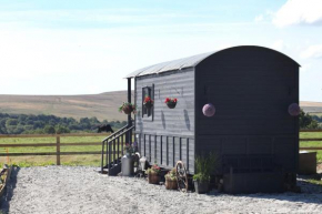 The Cloves Farm Shepherd’s Hut